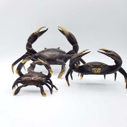Family Crabs - Idee D'Arte Positano