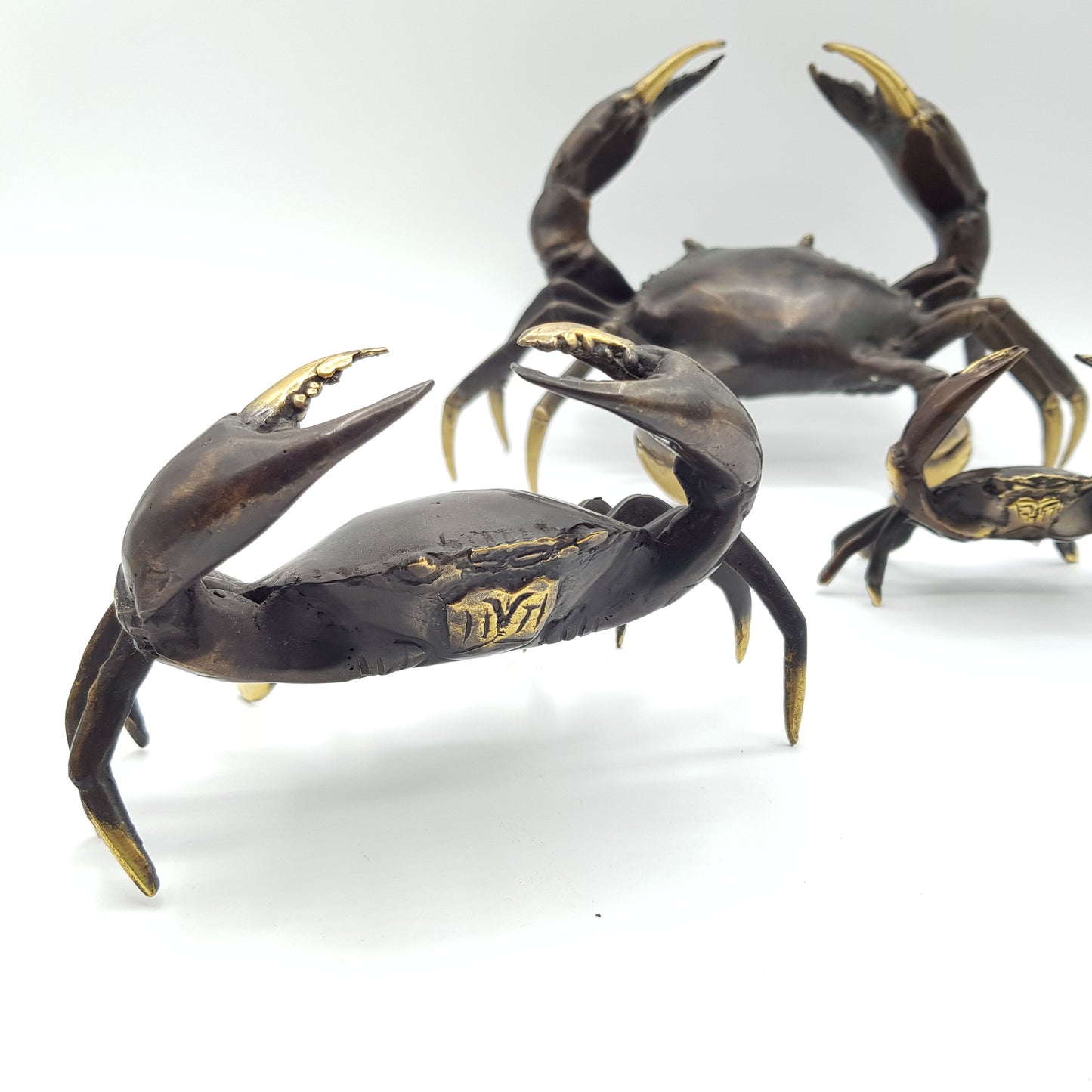 Family Crabs - Idee D'Arte Positano