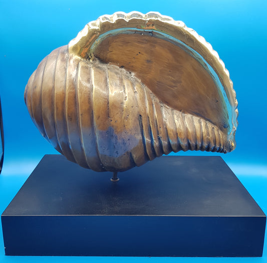 Big Shell