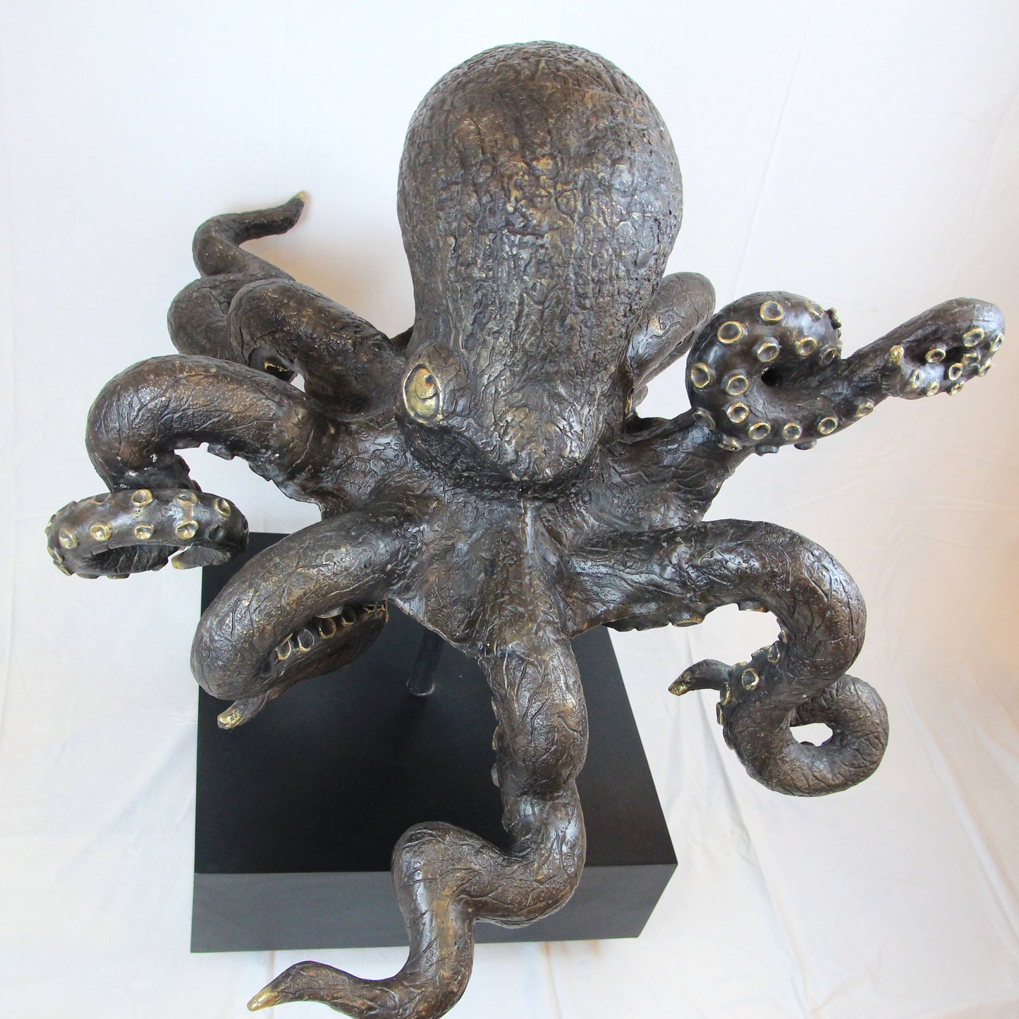 Polpo gigante