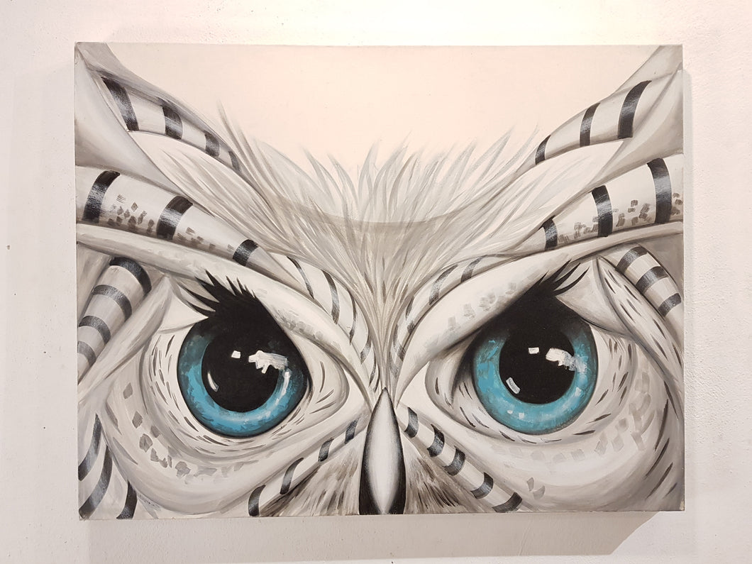 Owl with blue eyes