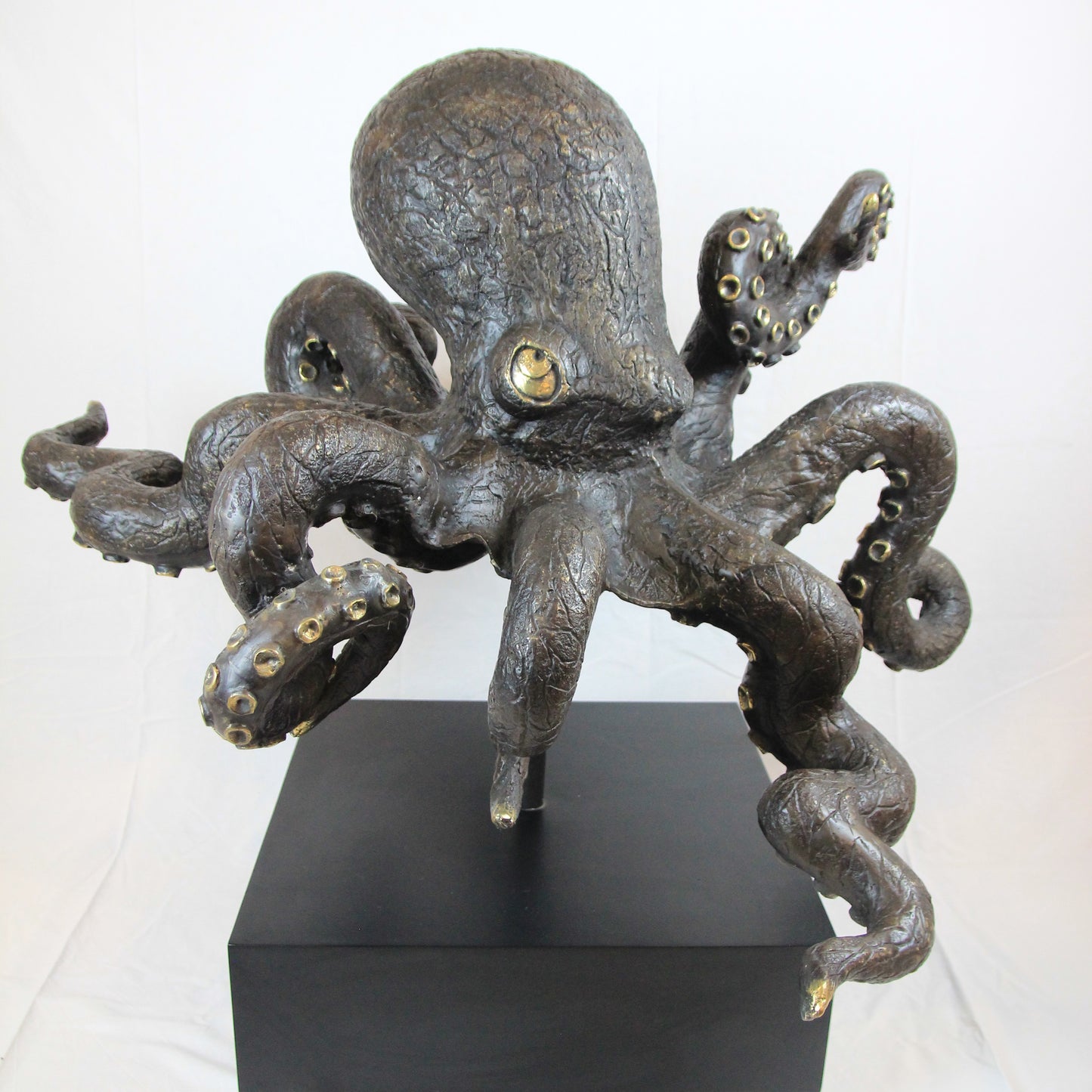 Polpo gigante