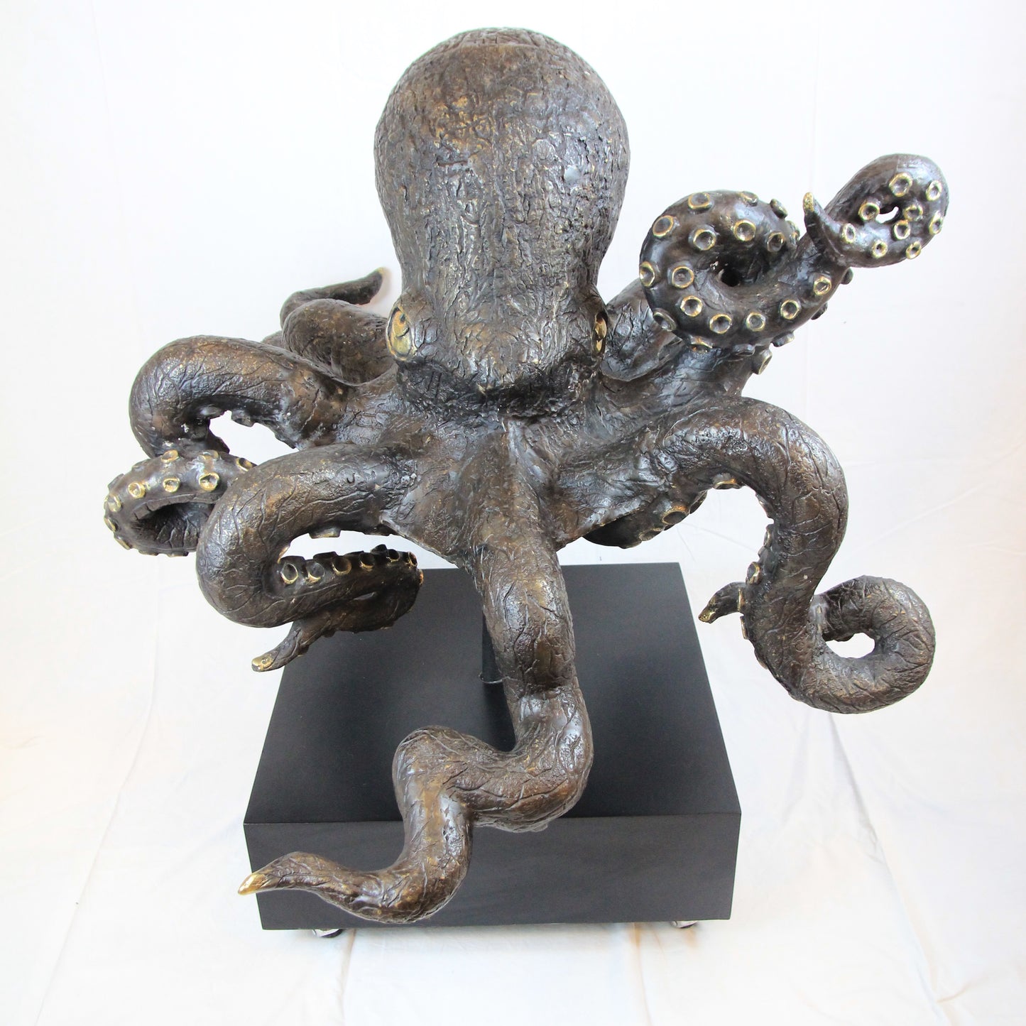 Polpo gigante