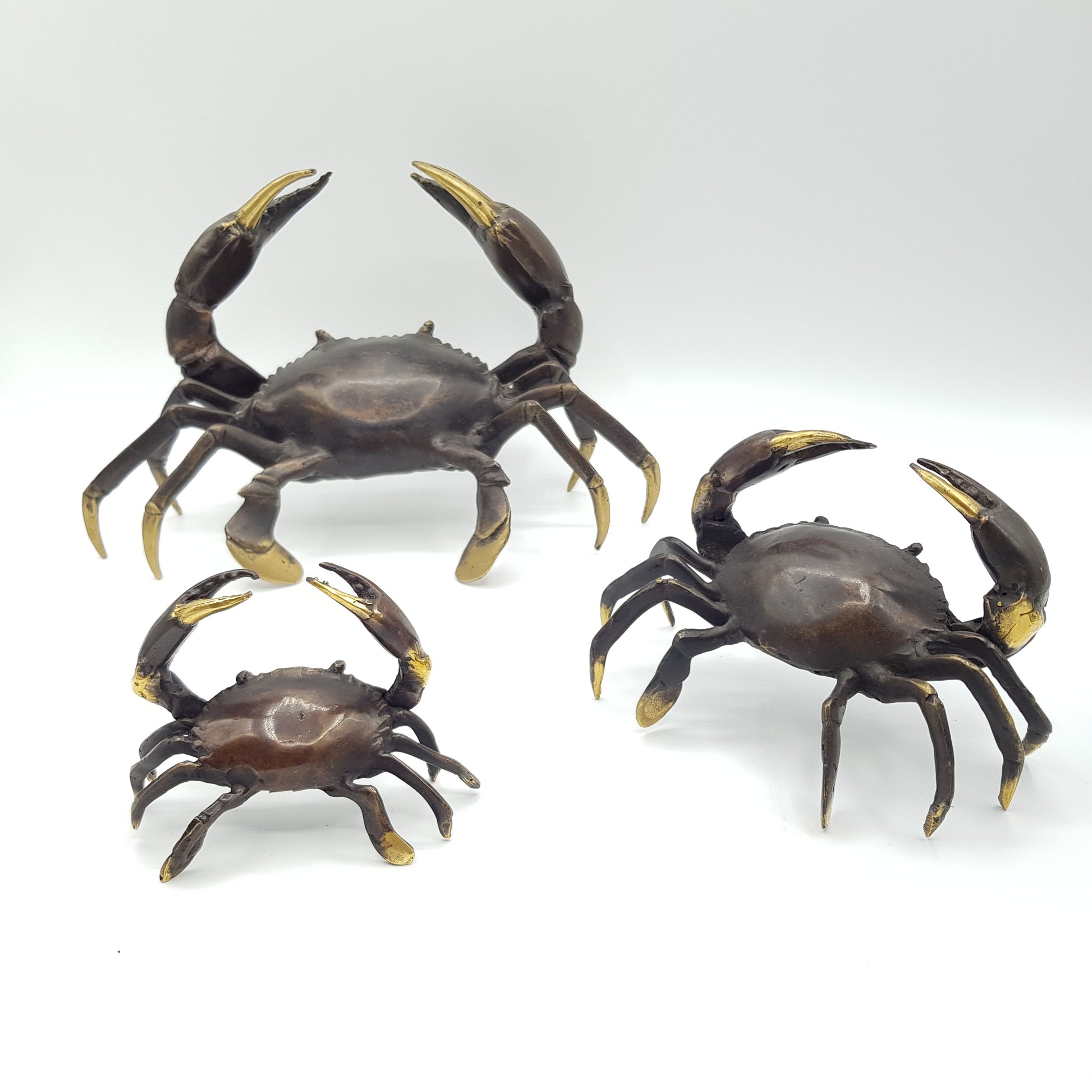Family Crabs - Idee D'Arte Positano