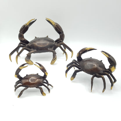 Family Crabs - Idee D'Arte Positano