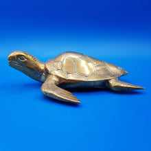 Carica l&#39;immagine nel visualizzatore di Gallery, Famiglia delle tartarughe
