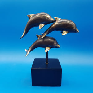 Amici delfini