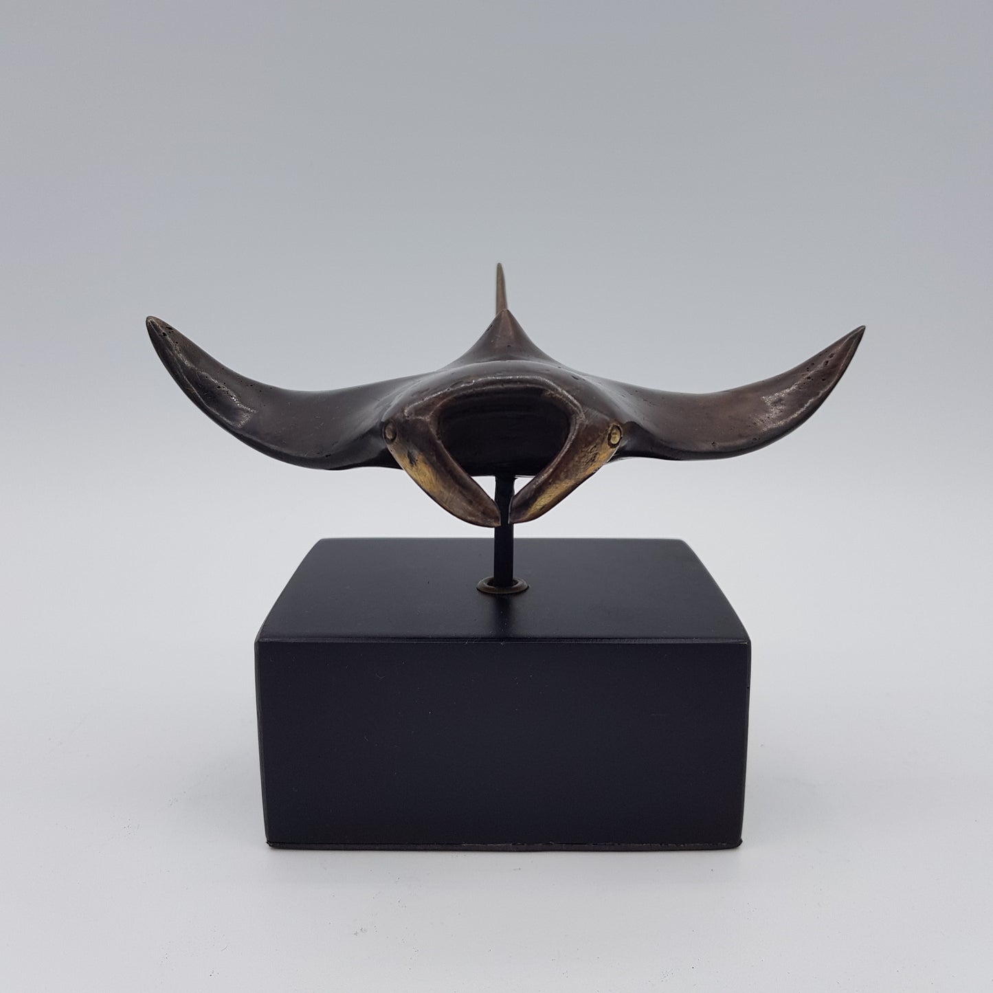 Manta Ray - Idee D'Arte Positano