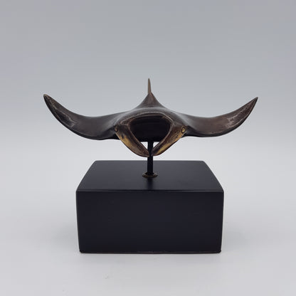 Manta Ray - Idee D'Arte Positano
