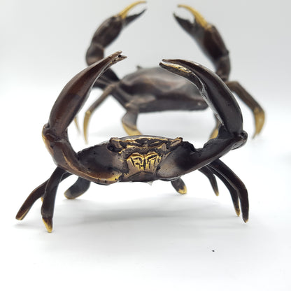 Family Crabs - Idee D'Arte Positano