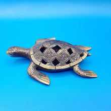Load image into Gallery viewer, Artistic turtles
