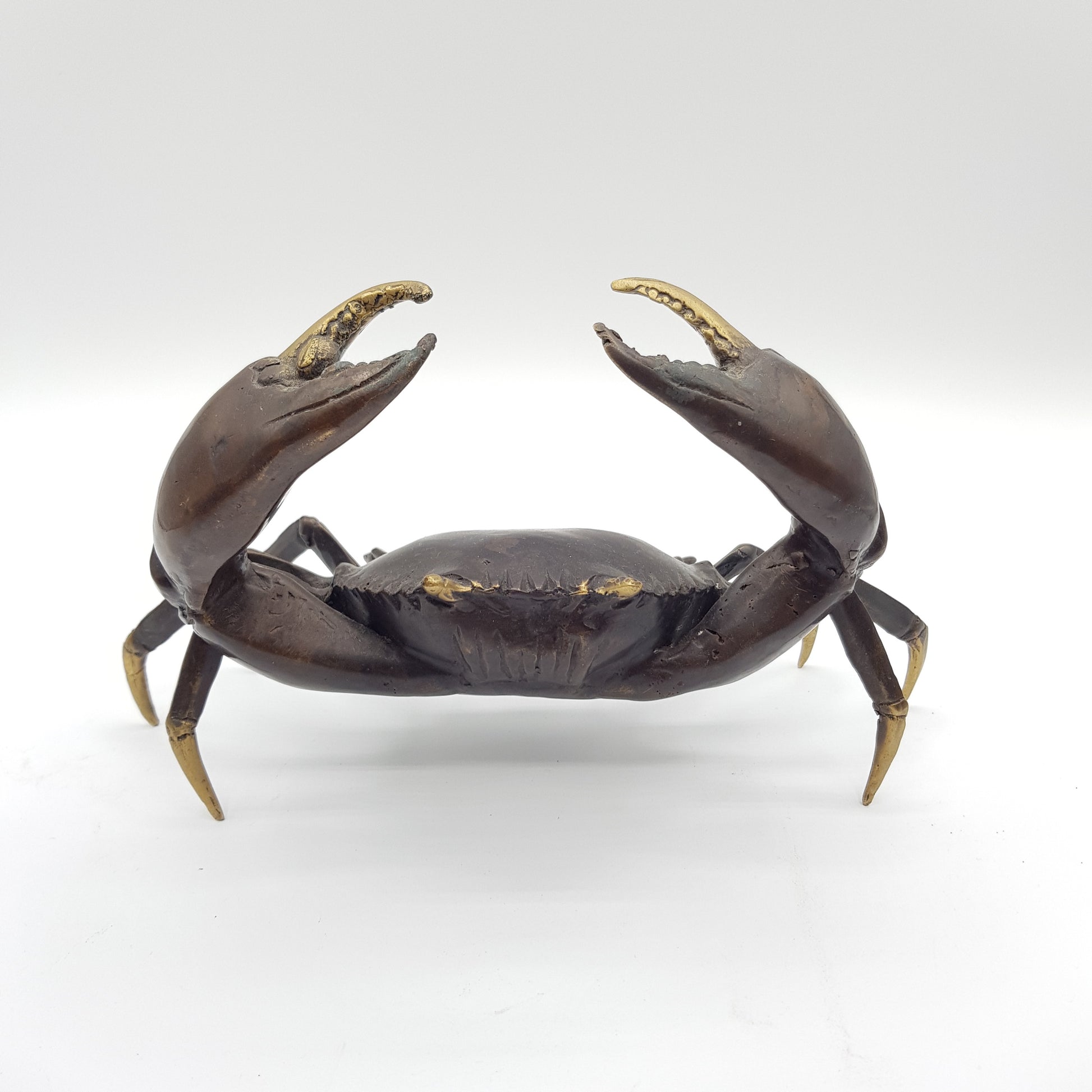 Family Crabs - Idee D'Arte Positano