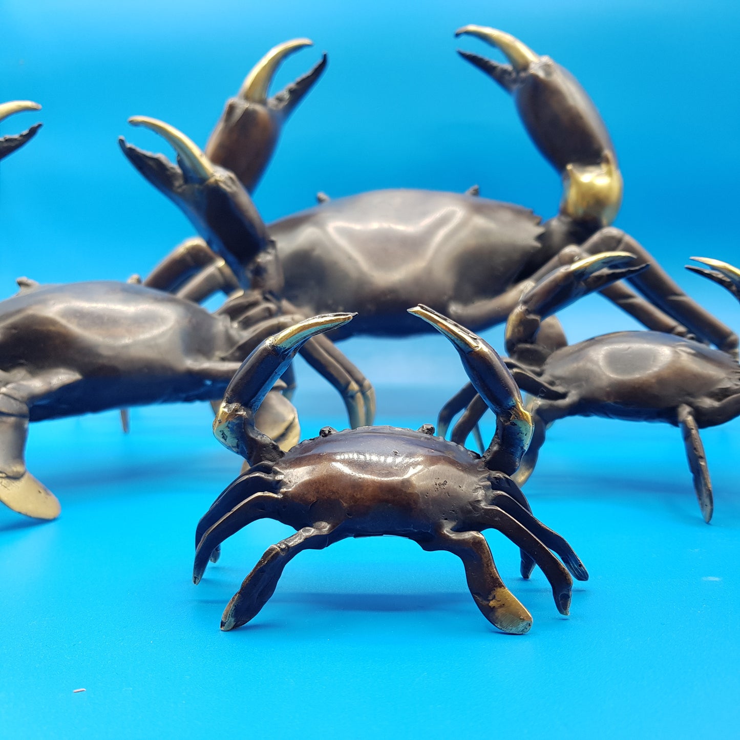 Family Crabs - Idee D'Arte Positano