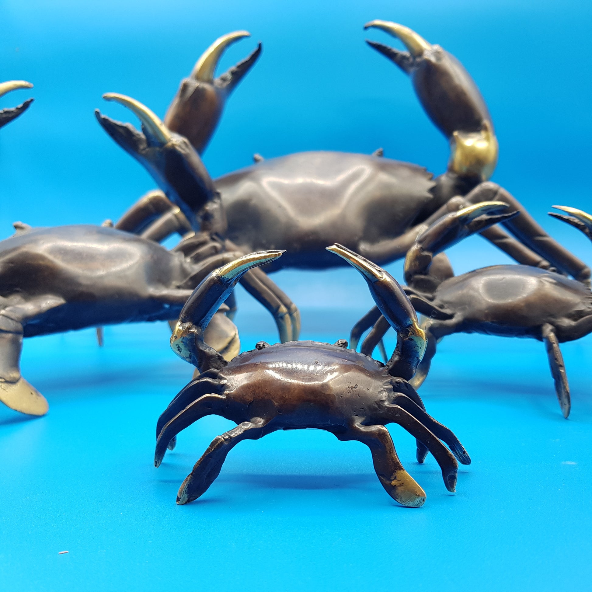 Family Crabs - Idee D'Arte Positano