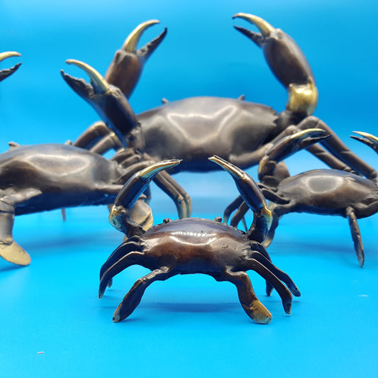 Family Crabs - Idee D'Arte Positano