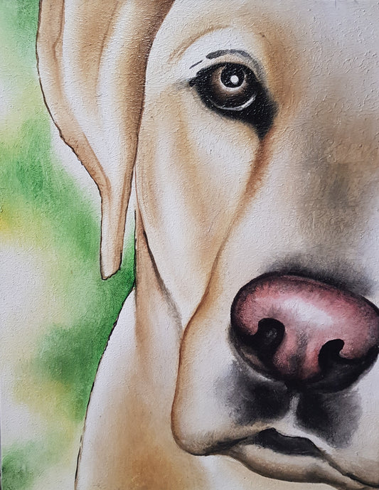 Labrador - Idee D'Arte Positano