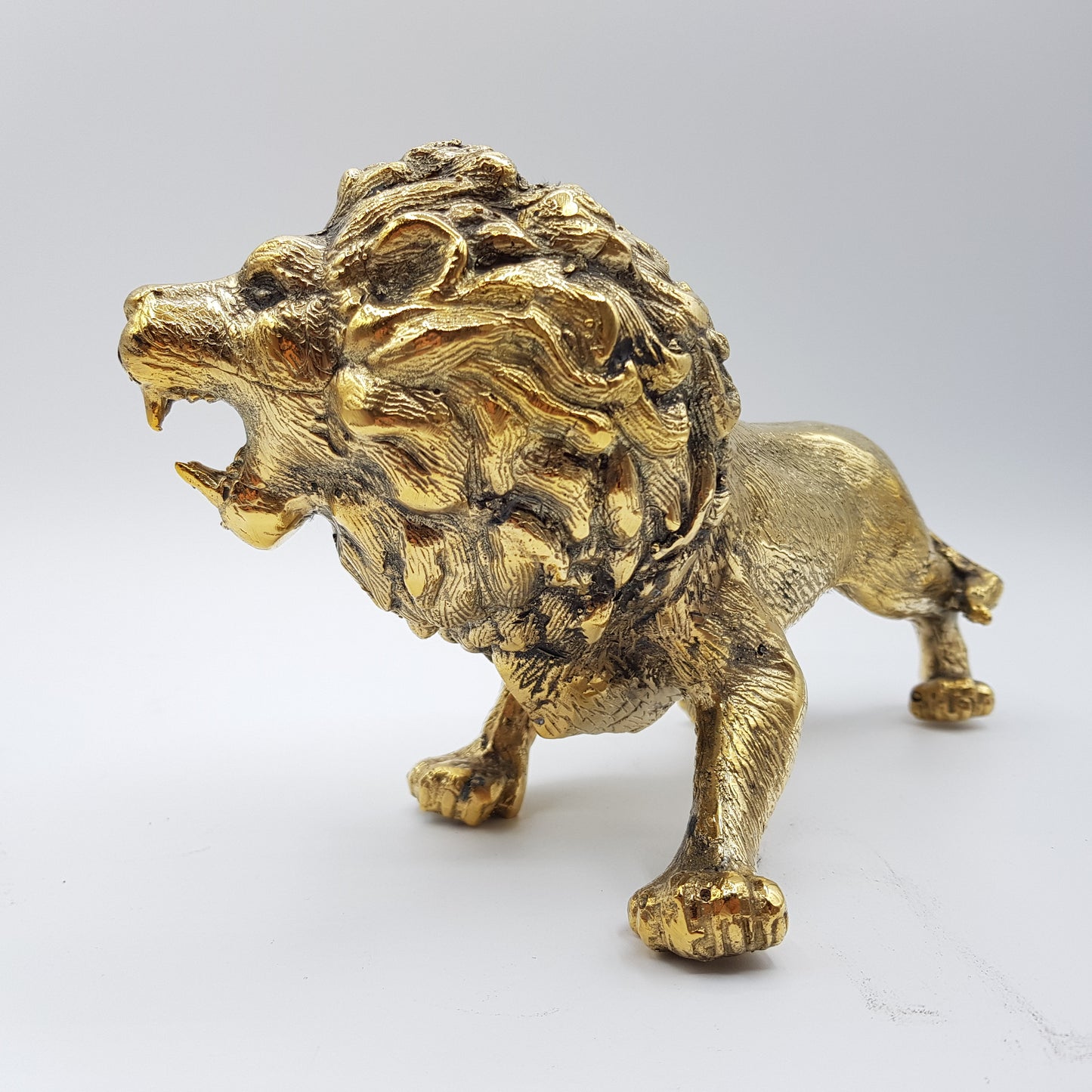 Lion - Idee D'Arte Positano