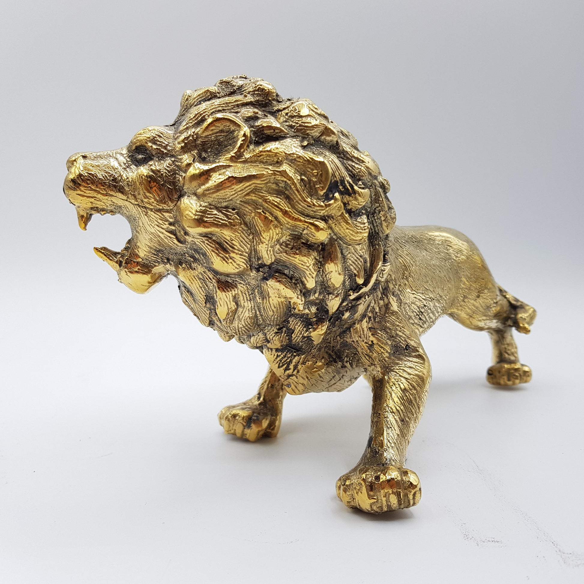 Lion - Idee D'Arte Positano