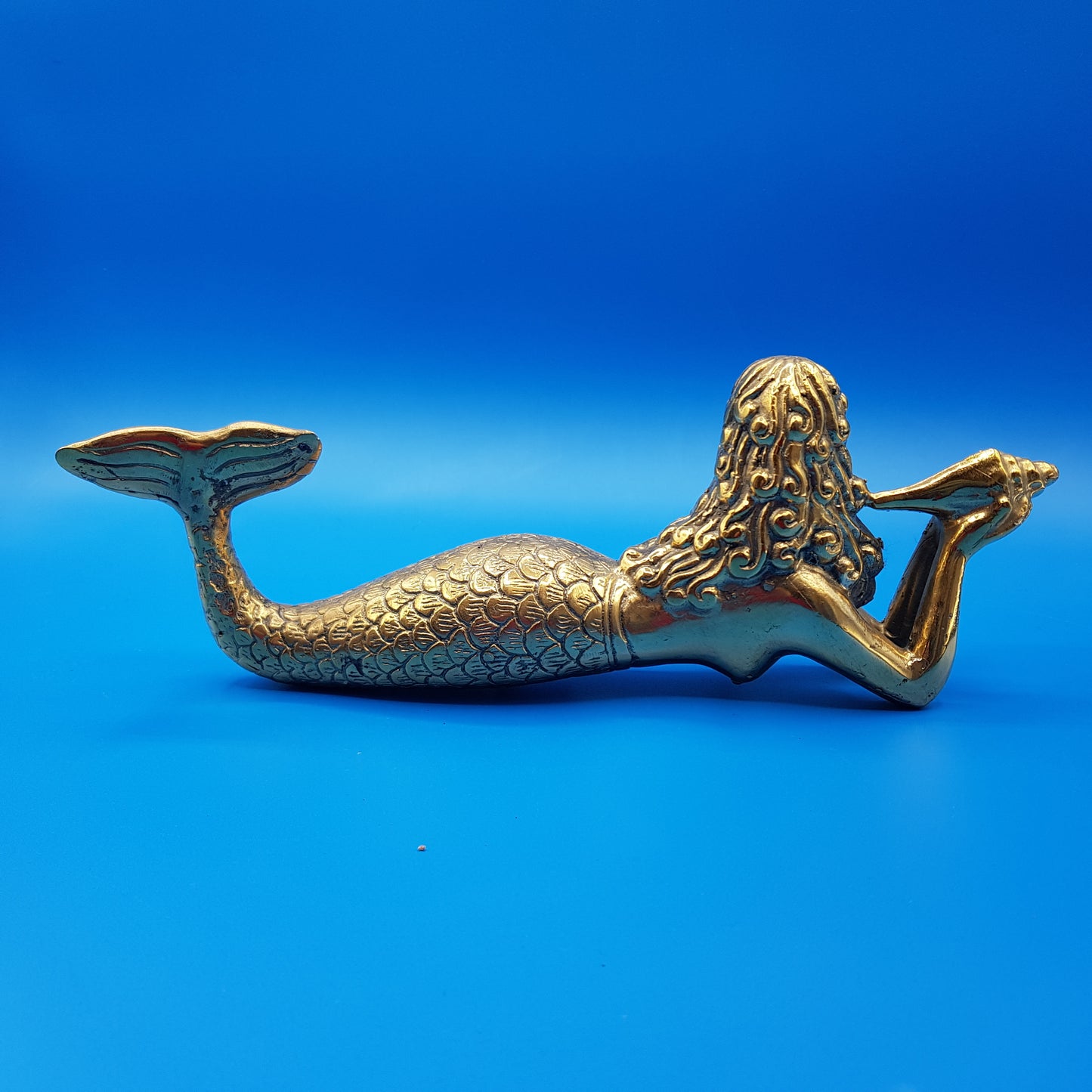 Miss Mermaid