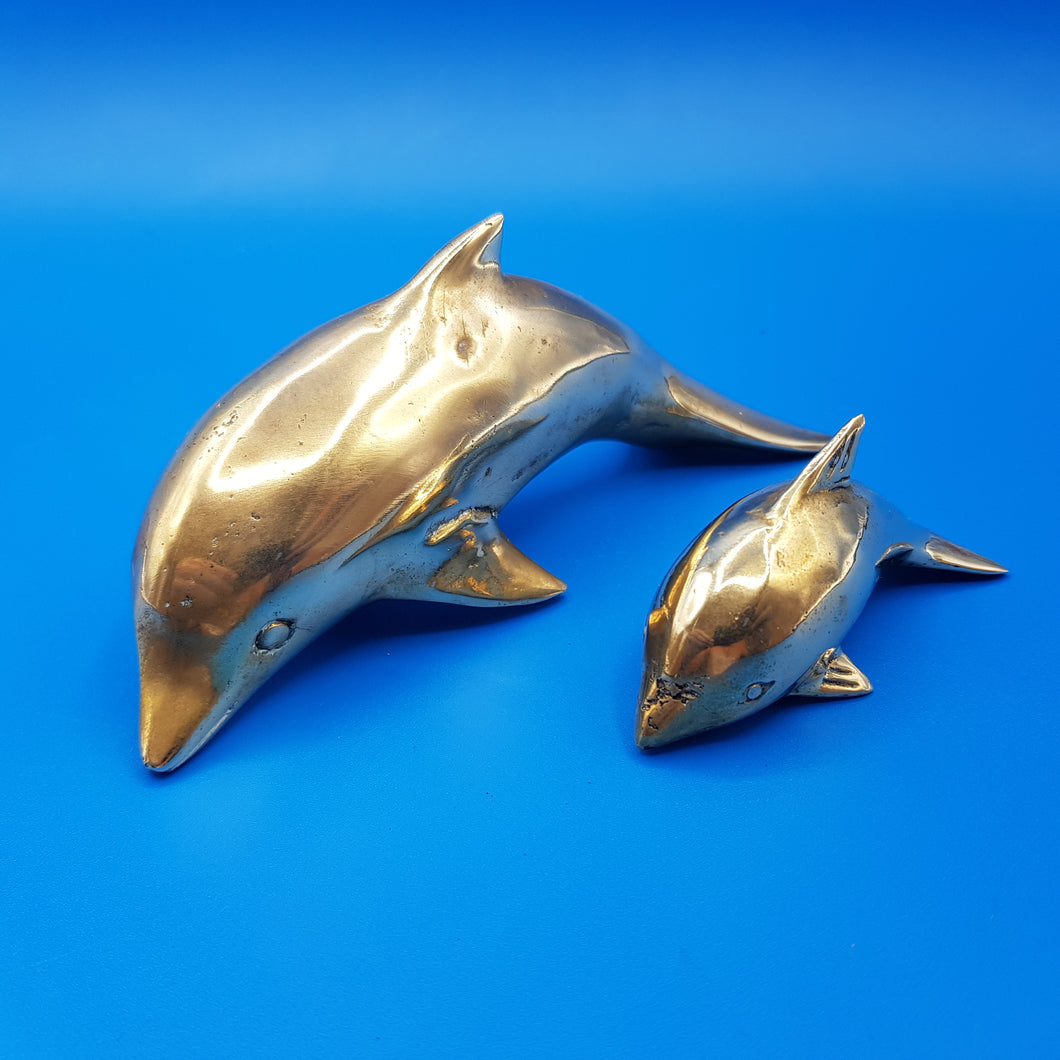 Bronze Dolphin