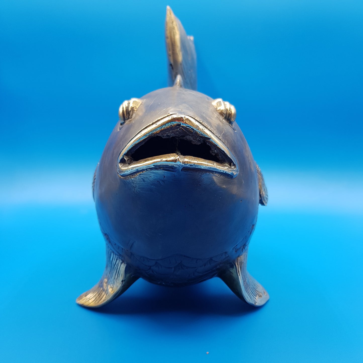 Lucky Fish - Idee D'Arte Positano