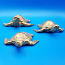 Carica l&#39;immagine nel visualizzatore di Gallery, Famiglia delle tartarughe
