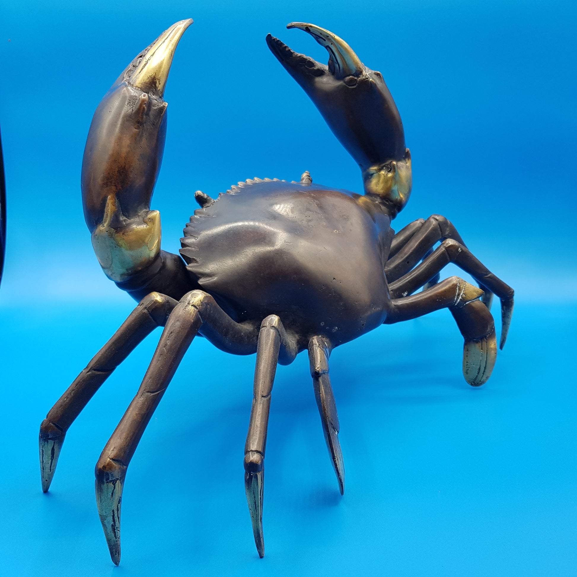 Family Crabs - Idee D'Arte Positano