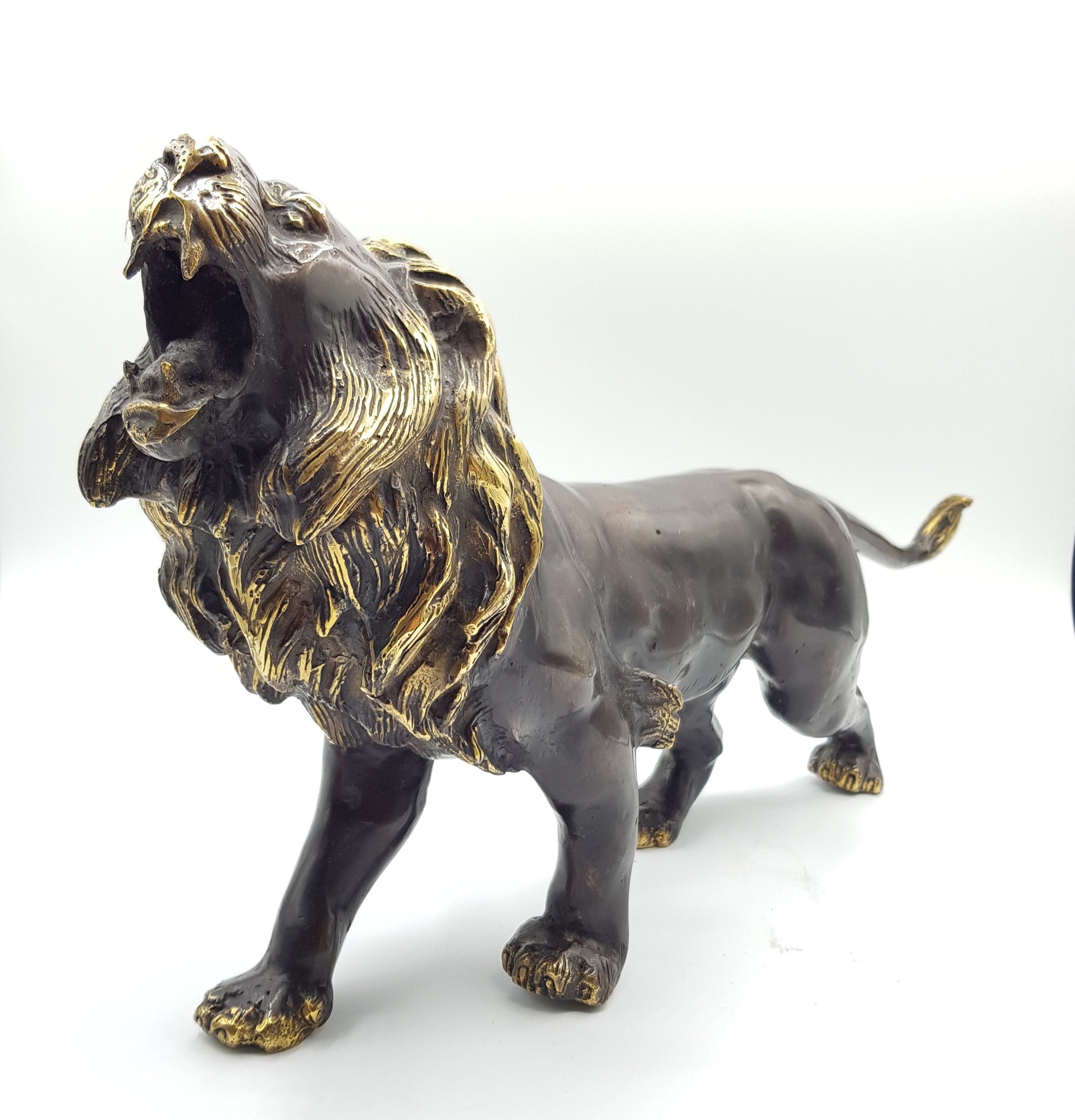 Lion - Idee D'Arte Positano