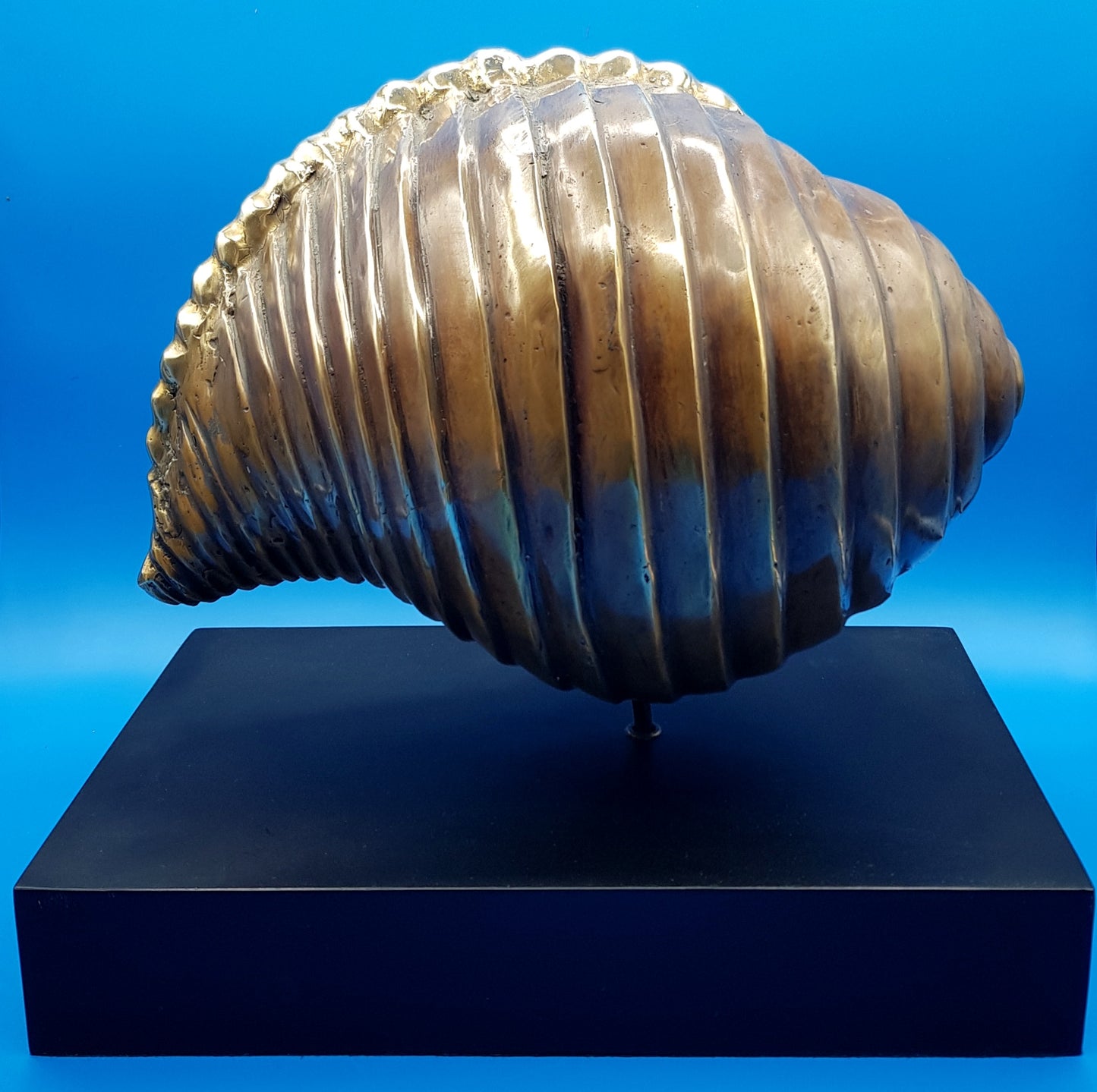 Grande Conchiglia
