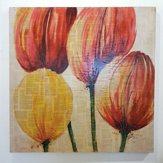 Tulips